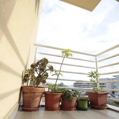 Valentin Apartament *